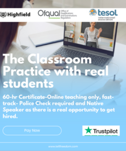 Promise - 60-Hour Certificate for Online Teaching